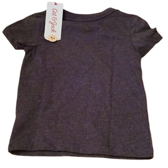 Cat & Jack T Shirt Boys Size 18M “Fierce Champion” Graphic Tee Gray Short Sleeve - Picture 3 of 4